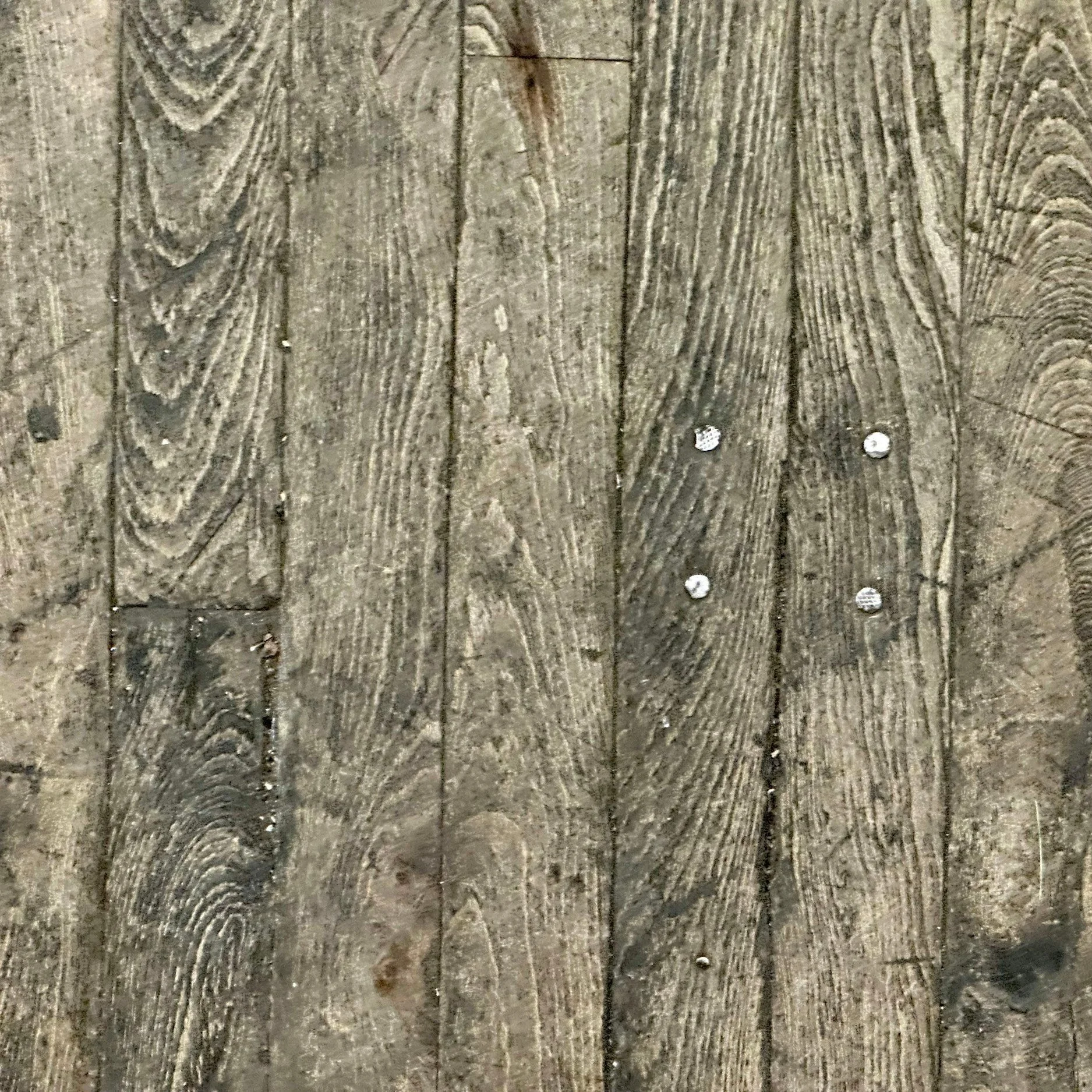Common Types of Wood Damage: How to Identify and Address Them